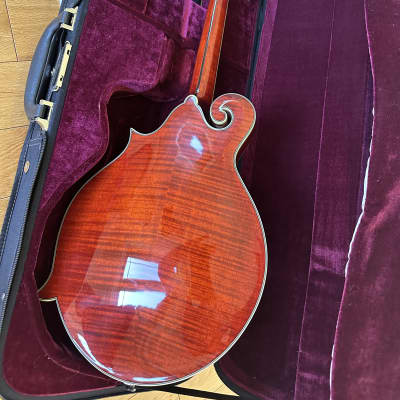 Eastman 815 2022 - Gloss image 2