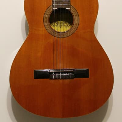 Guitare Classique Raimundo Model 100 image 14