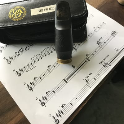 Theo Wanne NY BROS 2 Hard Rubber 6 Alto Saxophone Mouthpiece