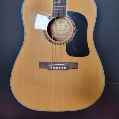 Washburn D9c Acoustic Guitar image 2