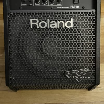 Roland PM-10 30-Watt 2x10