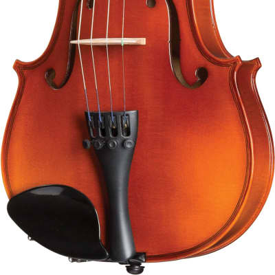 academy2_violin.jpg