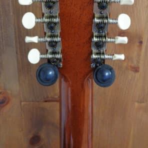 Giannini AWKS-12 12 String Acoustic guitar w/ OHSC image 7