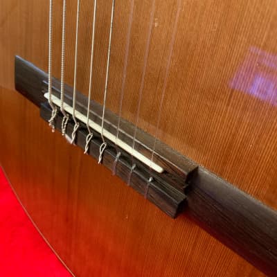 Daniel Mendes Eight String Guitar 2018 Cedar / Brazilian Rosewood image 12