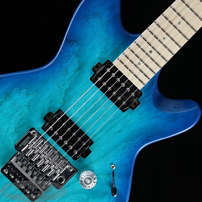 T's guitars vena22 オーダー特注品 T's guitars vena22 オーダー特注品 - メルカリ