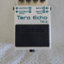 Boss TE-2 Tera Echo - A Great, Unique Effect  for Guitar + Bass - Very Good Condition!