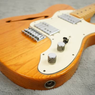 1973 Fender Telecaster Thinline + HSC image 7