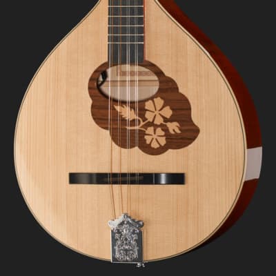 Folk Instruments Irish Bouzouki with PU image 3