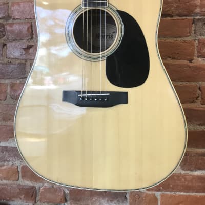 Morris W-25 | Reverb