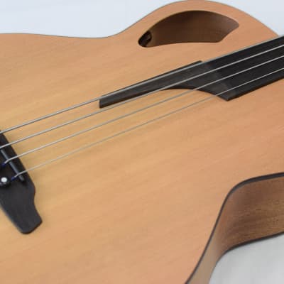 Furch Bc 61-CM 4 Fretless Acoustic Bass EAS-VTC image 9