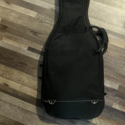 Parker guitars Gig bag LATER VERSION image 2