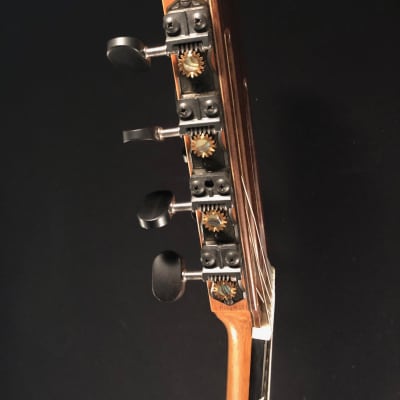 Richard Prenkert 7-String Guitar #401 2019 image 6