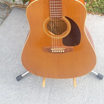 Seagull 20th Anniversary Cedar 2002 | Reverb
