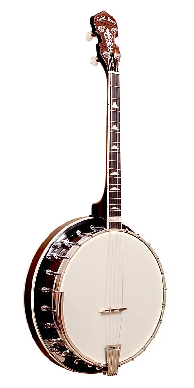 Gold Tone IT-250R Professional 4-String Irish Tenor Banjo with Resonator - Vintage Brown image 1