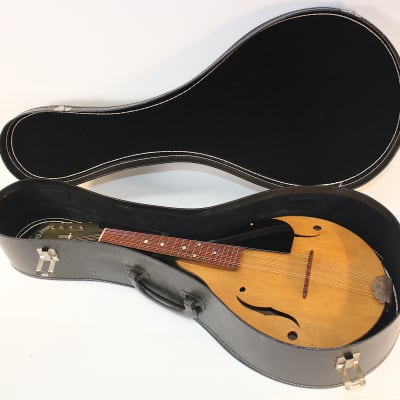 Vintage Strad-O-Lin Style A Mandolin • Dark Green Lacquer • Player image 12