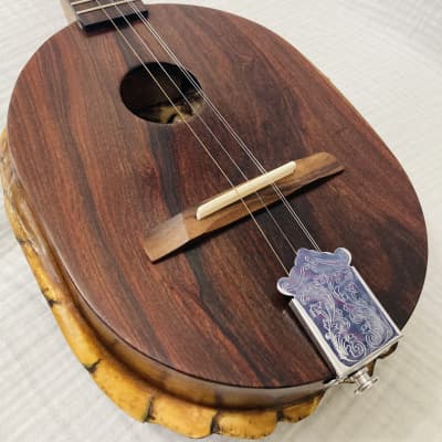 Turtle Shell Acoustic Dulcitar- rosewood top image 10