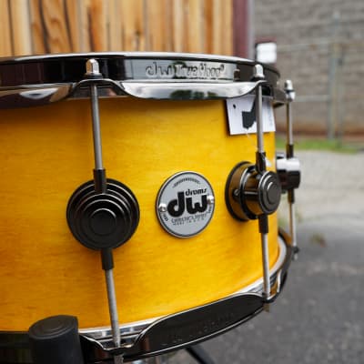 DW USA Collectors Series - 6.5 x 14" Pure Maple SSC/VLT Shell Snare Drum - Intense Yellow Satin Oil w/ Black Nickel Hdw. image 6