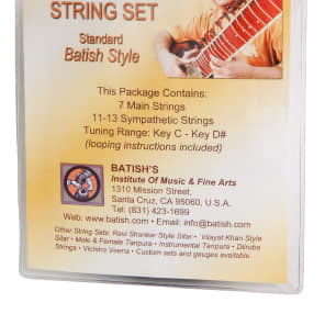 Batish STSTBS Pro Sitar Strings