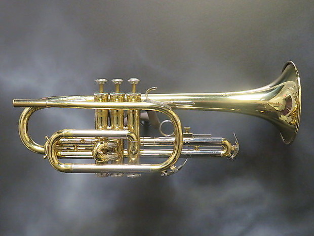 Blessing scholastic cornet discount