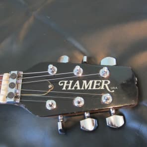 Hamer Prototype 1981 Natural with case image 8