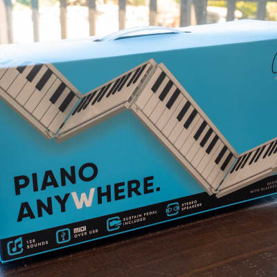 Fverey Foldable 88 key Digital Piano | Reverb