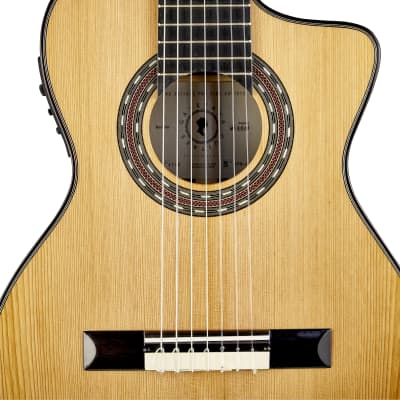 弦楽器 Bella Armonia MODELLI CONTROLATTIA A Bagnasco & Casati guitars - Page 15 - The Unofficial Martin
