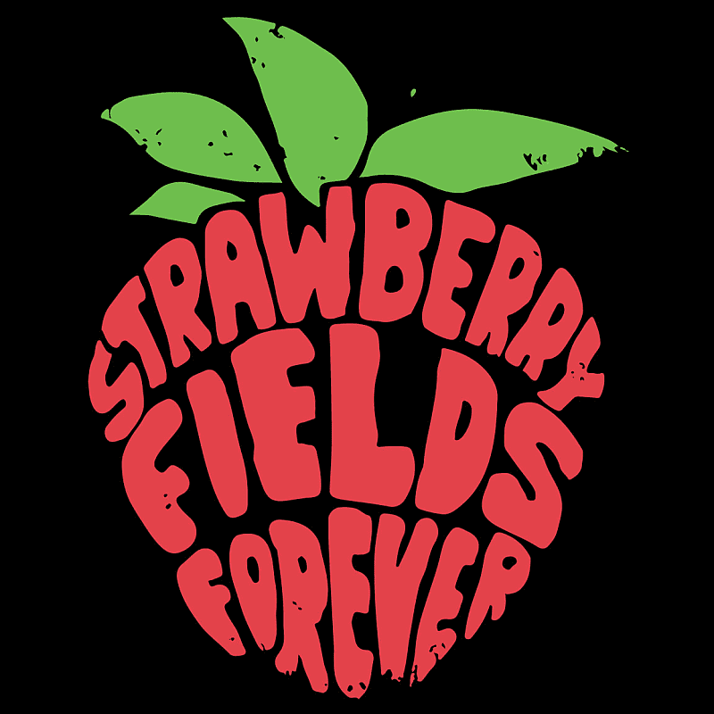 Strawberry Fields Forever - Lead Guitar - Music by the Measures