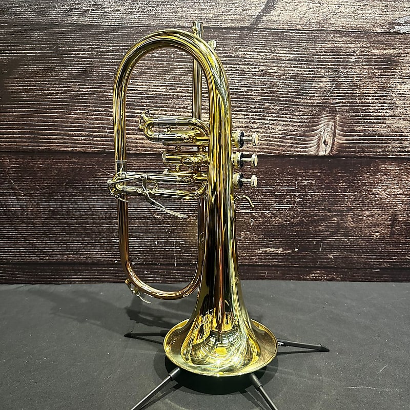 Hawk Student Flugelhorn Flugelhorn (Hollywood, CA) Reverb
