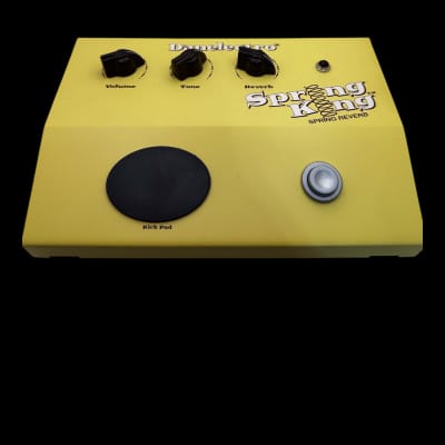 ギター Danelectro Spring King DSR-1 愛すべきアホ・リバーブ：Danelectro Spring King DSR-1レビュー