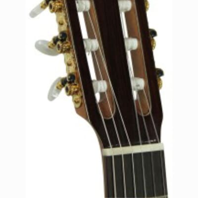 Kremona Rosa Morena | Nylon-String Classical Guitar. New with Full Warranty! image 3