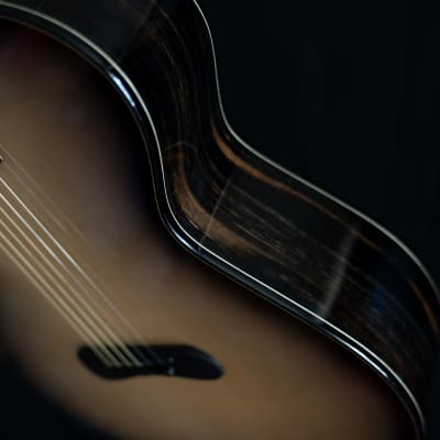 Skytop "Dark Side of the Moon" Acoustic Guitar image 4