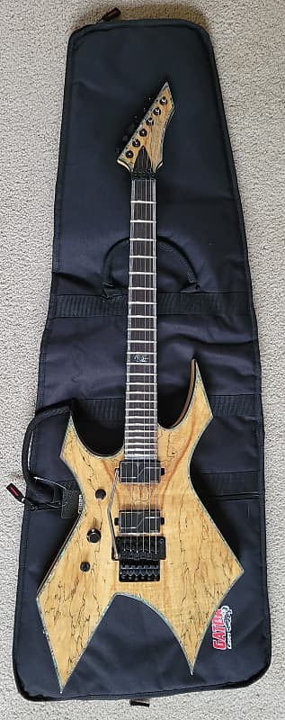 Bc rich best sale warlock gig bag