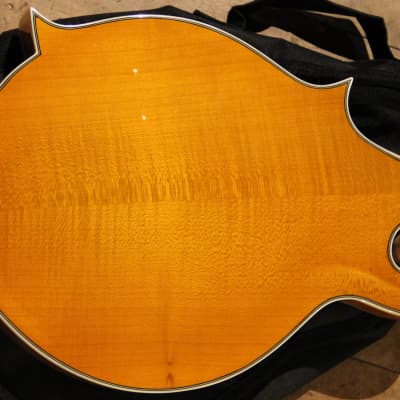 Rover RM-75 Deluxe Student F-Model Mandolin Flamed Maple image 6