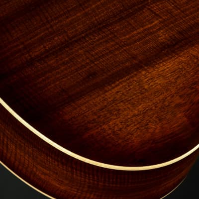 Taylor Custom GS Baritone - Torrefied Sitka Spruce/Laurelwood image 13