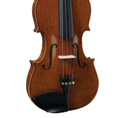 Stentor 1550 Conservatoire Full Size 4/4 Violin Outfit with Deluxe Case and Bow image 2