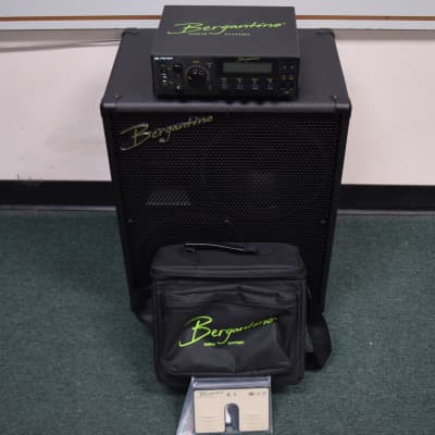 Bergantino B-Amp / HG 310 Cab, FREE Carry Bag. *NOT Pre-Owned! *Ft. Switch Optional image 1