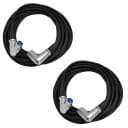 Seismic Audio - 2 Pack of XLR Right Angle Microphone Cable - 25' Foot Mic Cord