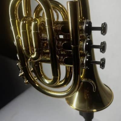 Unbranded Pocket Trumpet (Used) image 2