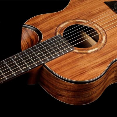 Washburn WCGM55K Comfort Series Grand Auditorium Koa Top/Back/Sides Mahogany Neck 6-String Acoustic Guitar w/Gig Bag image 9