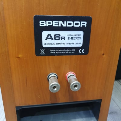 Spendor A6R MID-90S - oak image 12