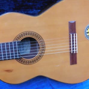 Quality Tokai L 60 Classical + H/case made in the 1970's Quality Tokai L 60 Classical + H/case made in the 1970's