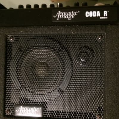 Acoustic Image Coda R Series IIa - perfect for upright bass, AC