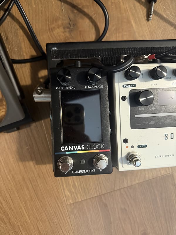 Walrus Audio Canvas Clock