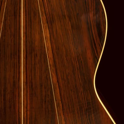 1981 Sergei de Jonge 10 String Classical Guitar - Brazilian Rosewood, Luthier Letter of Appraisal image 5