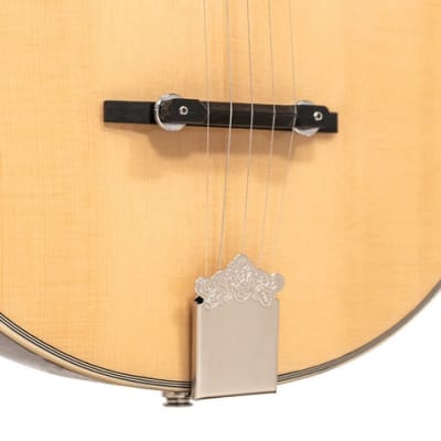 Gold Tone Banjola+: Woodbody Banjo w/ Pickup and Bag, New, Free Shipping, Authorized Dealer, Demo Video image 3