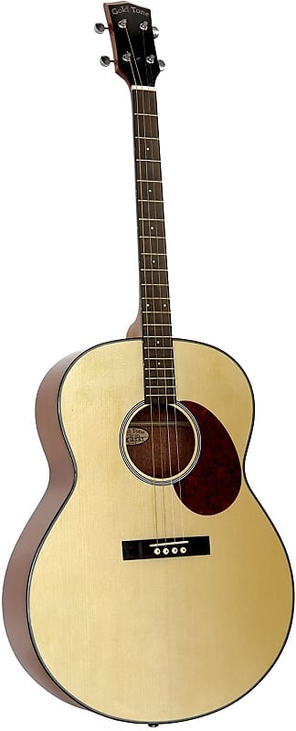 Gold Tone TG-10 Tenor Guitar (Four String, Natural) image 1