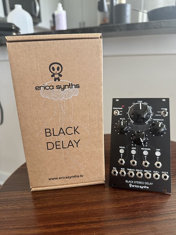 Erica Synths Black Stereo Delay