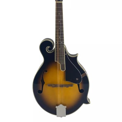 ギター Fender Mandolin FM-60s ギター Fender Mandolin FM-60s Fender FM100 8-String A-Style