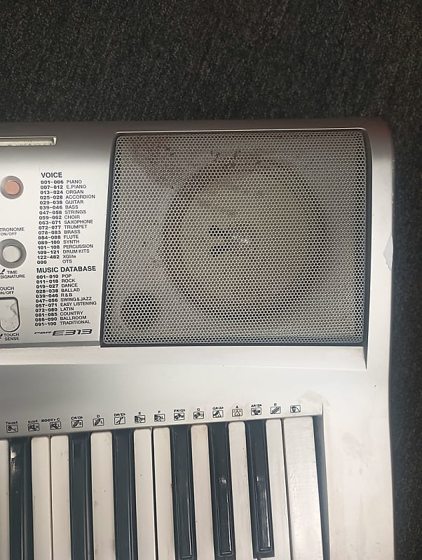 Yamaha PSR-E313 MIDI Keyboard (Lombard, IL)