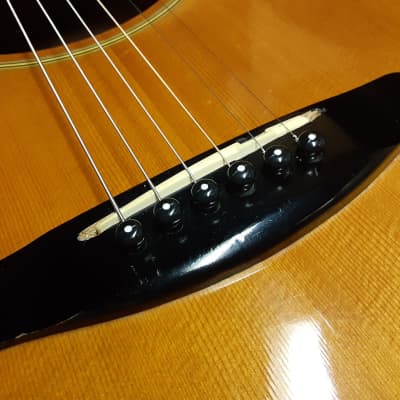 Vantage CL15 LT Craviola Style MIJ 1980- '89 / Fishman